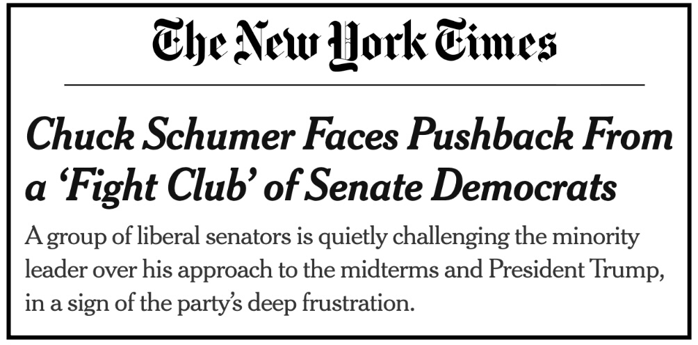 New York Times: Chuck Schumer faces pushback from a Fight Club of Senate Democrats